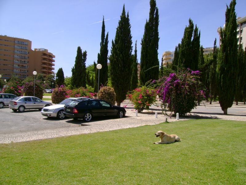 foto 18 Huurhuis van particulieren Vilamoura appartement Algarve  Zicht op de omgeving