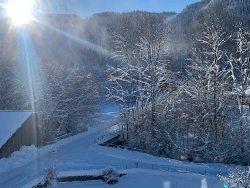 foto 0 Huurhuis van particulieren Bernex appartement Rhne-Alpes Haute-Savoie Uitzicht vanaf de woning