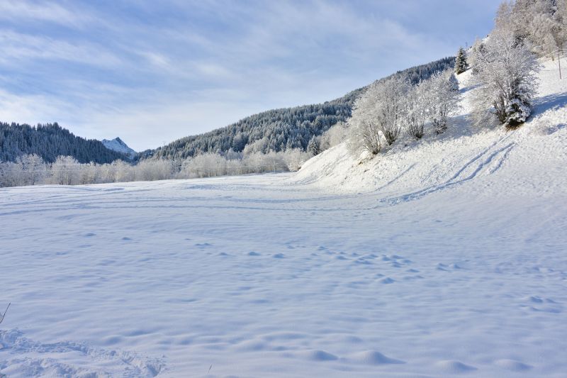 foto 9 Huurhuis van particulieren Les Contamines Montjoie chalet Rhne-Alpes Haute-Savoie