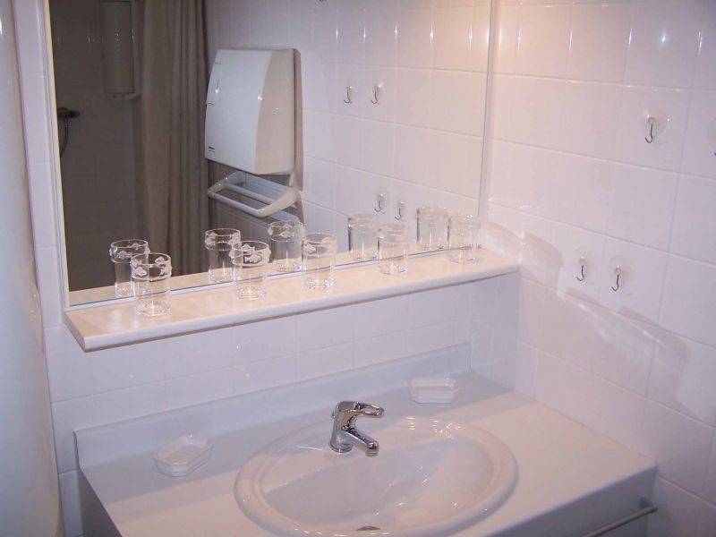 foto 10 Huurhuis van particulieren Grardmer appartement Lorraine Vogezen badkamer