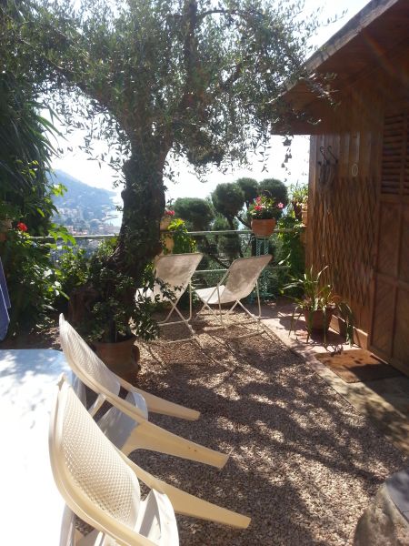 foto 5 Huurhuis van particulieren Menton gite Provence-Alpes-Cte d'Azur Alpes-Maritimes Binnenplaats