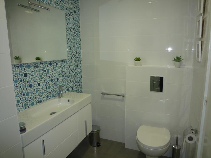 foto 13 Huurhuis van particulieren Dnia appartement Valencia (regio) Alicante (provincia de) badkamer