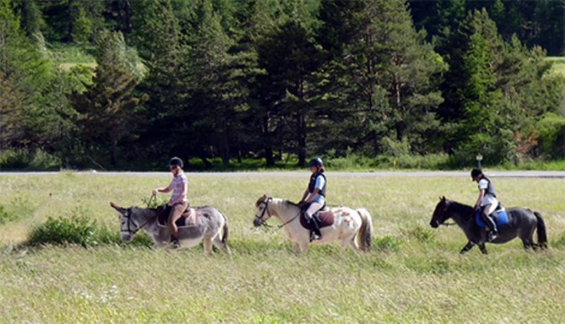 foto 18 Huurhuis van particulieren Ceillac en Queyras studio Provence-Alpes-Cte d'Azur Hautes-Alpes