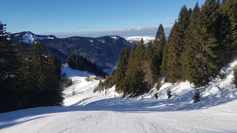 foto 18 Huurhuis van particulieren Bellevaux Hirmentaz La Chvrerie studio Rhne-Alpes Haute-Savoie Zicht op de omgeving