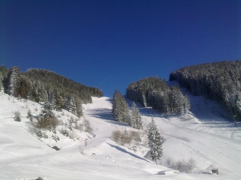 foto 5 Huurhuis van particulieren Bellevaux Hirmentaz La Chvrerie studio Rhne-Alpes Haute-Savoie Zicht op de omgeving