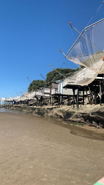 foto 19 Huurhuis van particulieren Vaux sur Mer appartement Poitou-Charentes Charente-Maritime