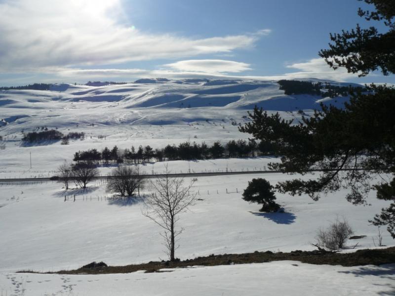 foto 24 Huurhuis van particulieren Le Lioran gite Auvergne Cantal Zicht op de omgeving