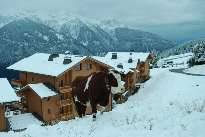 foto 7 Huurhuis van particulieren Les Saisies appartement Rhne-Alpes Savoie
