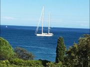 Vakantiewoningen zee Corsica: appartement nr. 59807