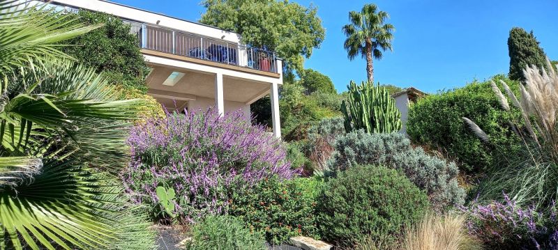 foto 7 Huurhuis van particulieren Hyres maison Provence-Alpes-Cte d'Azur Var Tuin