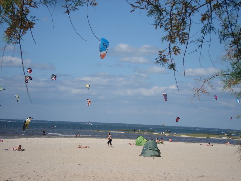 foto 14 Huurhuis van particulieren Arcachon maison Aquitaine Gironde Strand