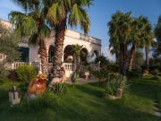 Vakantiewoningen Lecce (Provincie): appartement nr. 62353