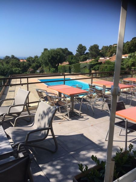 foto 16 Huurhuis van particulieren La Croix Valmer villa Provence-Alpes-Cte d'Azur Var Zwembad