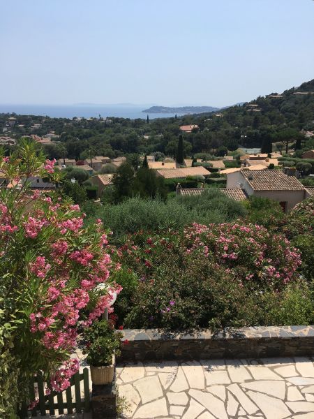 foto 24 Huurhuis van particulieren La Croix Valmer villa Provence-Alpes-Cte d'Azur Var Uitzicht vanaf het terras