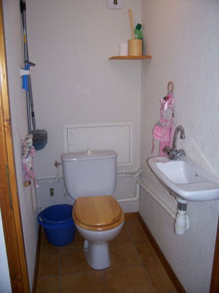 foto 24 Huurhuis van particulieren Praz sur Arly appartement Rhne-Alpes Haute-Savoie Apart toilet