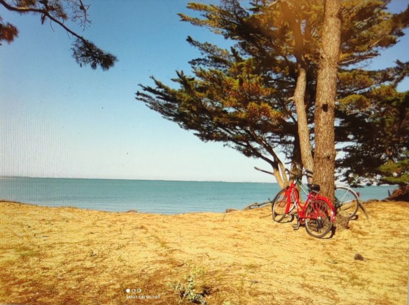 foto 10 Huurhuis van particulieren Saint Georges d'Olron maison Poitou-Charentes Charente-Maritime Strand