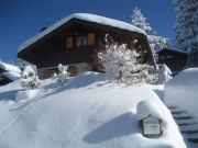 Vakantiewoningen Europa: chalet nr. 742