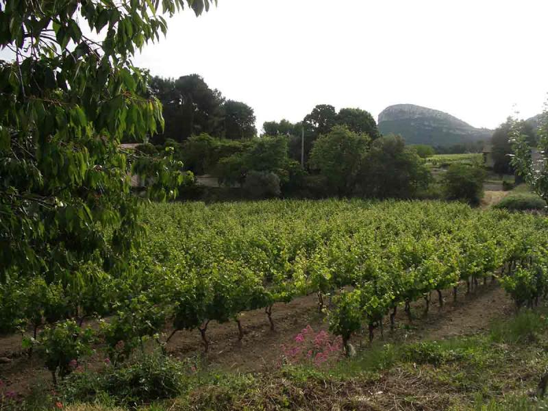 foto 4 Huurhuis van particulieren Cassis villa Provence-Alpes-Cte d'Azur Bouches du Rhne Zicht op de omgeving