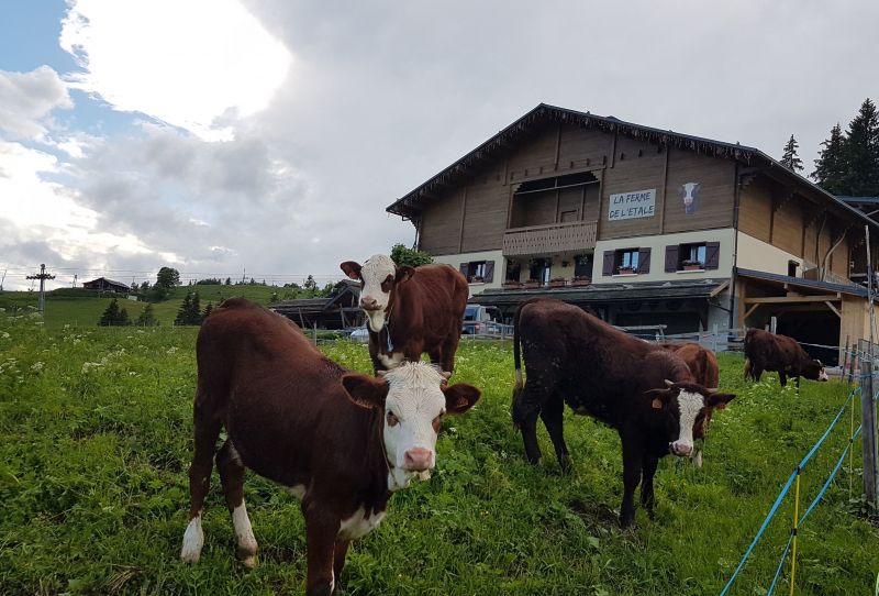 foto 7 Huurhuis van particulieren La Clusaz appartement Rhne-Alpes Haute-Savoie