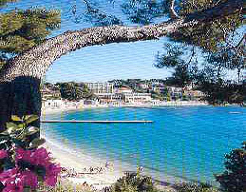 foto 11 Huurhuis van particulieren Bandol appartement Provence-Alpes-Cte d'Azur Var Strand