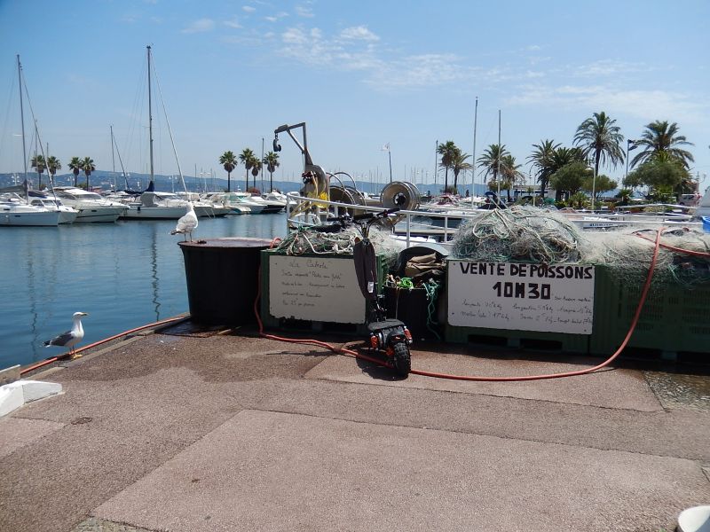 foto 19 Huurhuis van particulieren Cavalaire-sur-Mer appartement Provence-Alpes-Cte d'Azur Var