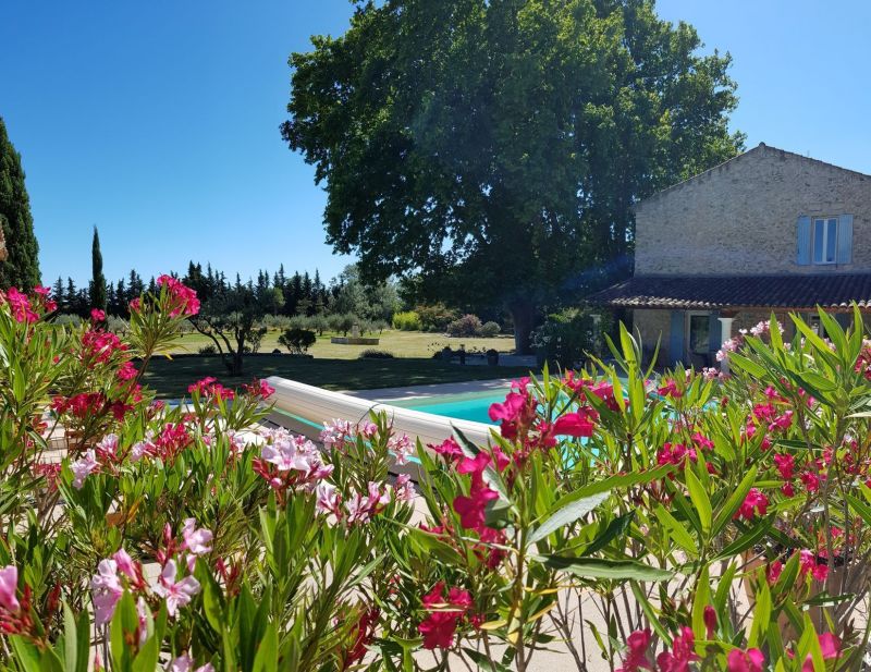 foto 4 Huurhuis van particulieren Isle sur la Sorgue maison Provence-Alpes-Cte d'Azur Vaucluse Zwembad