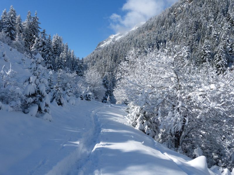 foto 3 Huurhuis van particulieren Valfrjus appartement Rhne-Alpes Savoie Verblijf