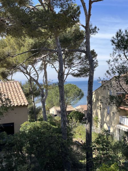 foto 13 Huurhuis van particulieren Sanary-sur-Mer appartement Provence-Alpes-Cte d'Azur Var Uitzicht vanaf de woning
