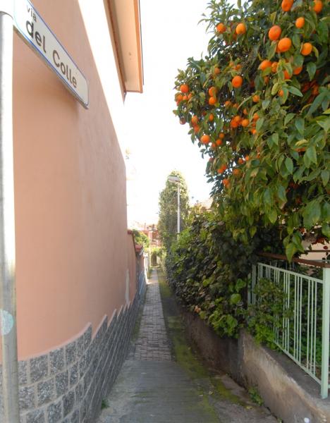 foto 7 Huurhuis van particulieren Taggia appartement Liguri Imperia (provincie) Zicht op de omgeving