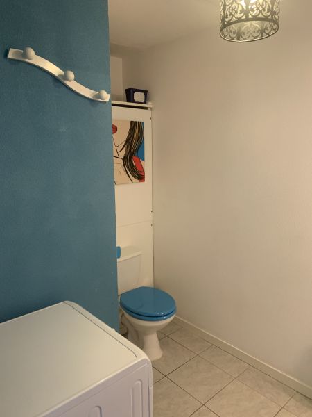 foto 10 Huurhuis van particulieren Royan appartement Poitou-Charentes Charente-Maritime badkamer