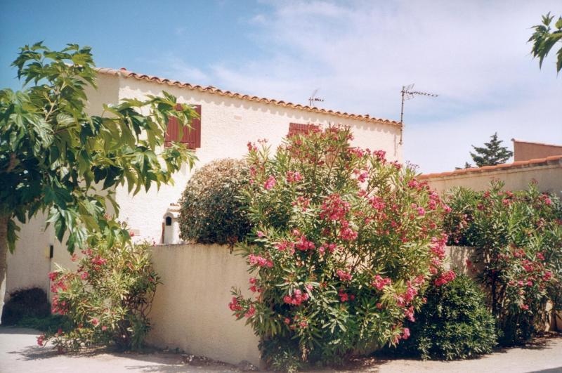 foto 0 Huurhuis van particulieren Le Barcares maison Languedoc-Roussillon Pyrnes-Orientales Het aanzicht van de woning