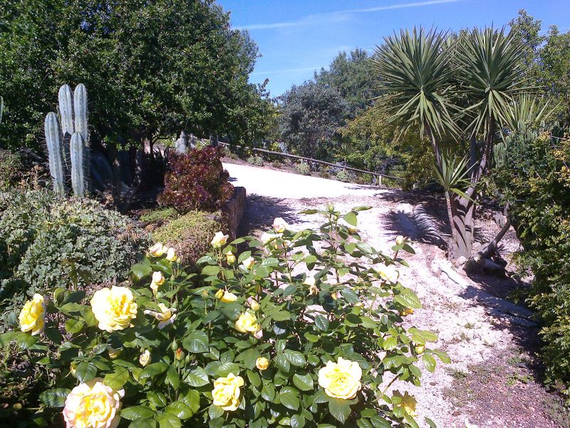 foto 14 Huurhuis van particulieren Loul insolite Algarve  Tuin