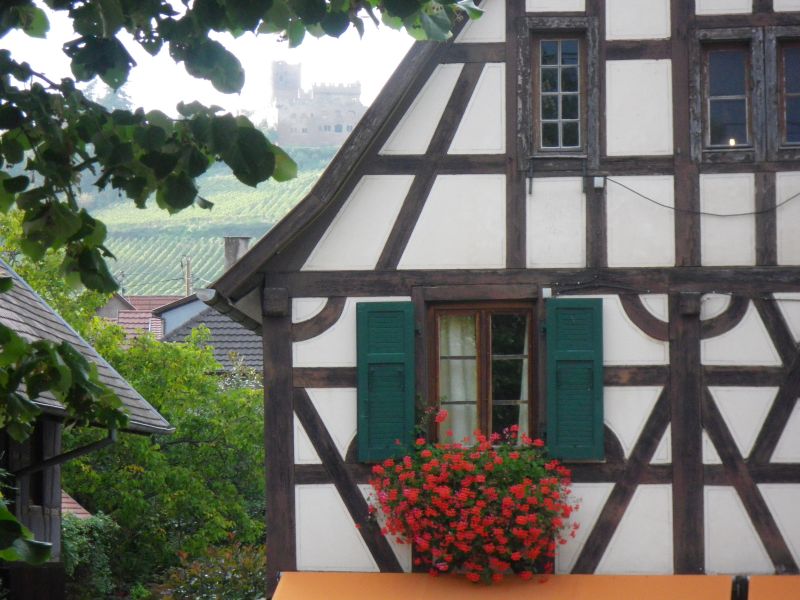 foto 9 Huurhuis van particulieren Kintzheim gite Elzas Bas-Rhin Uitzicht vanaf het balkon