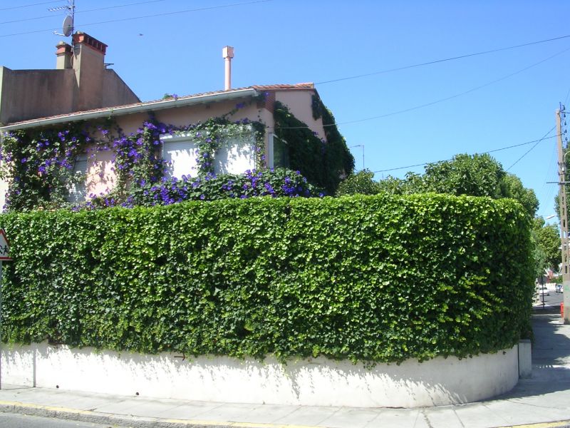 foto 0 Huurhuis van particulieren Perpignan maison Languedoc-Roussillon Pyrnes-Orientales Het aanzicht van de woning