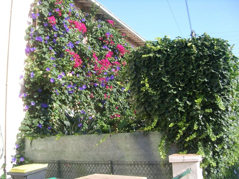 foto 1 Huurhuis van particulieren Perpignan maison Languedoc-Roussillon Pyrnes-Orientales Balkon