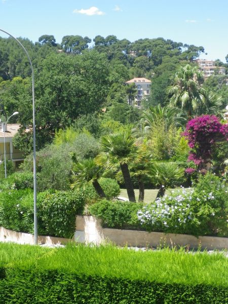 foto 5 Huurhuis van particulieren Hyres villa Provence-Alpes-Cte d'Azur Var Het aanzicht van de woning