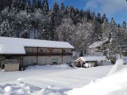 Vakantiewoningen berggebied Franche-Comt: appartement nr. 121026