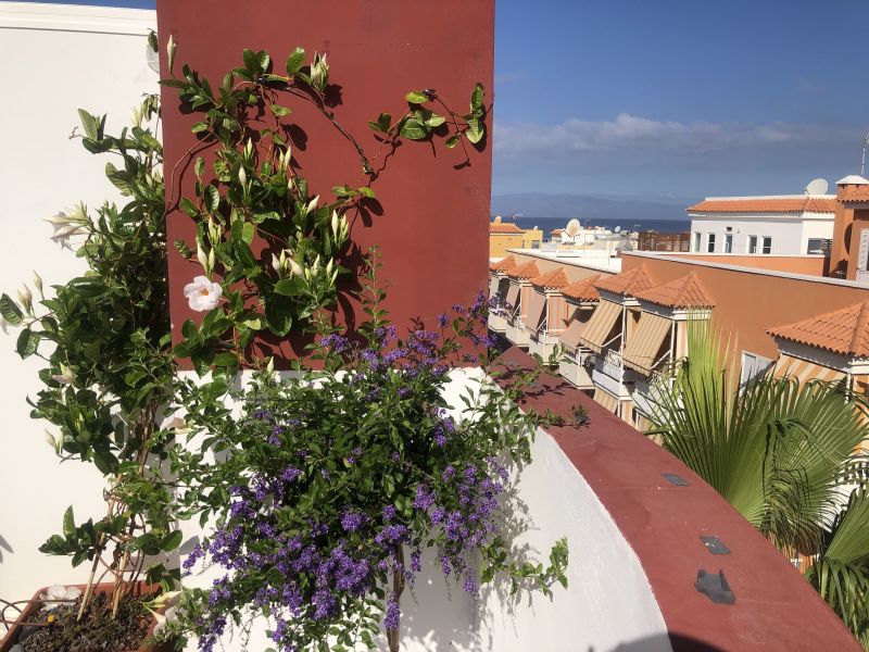 foto 1 Huurhuis van particulieren Playa San Juan appartement Canarische eilanden  Uitzicht vanaf het terras