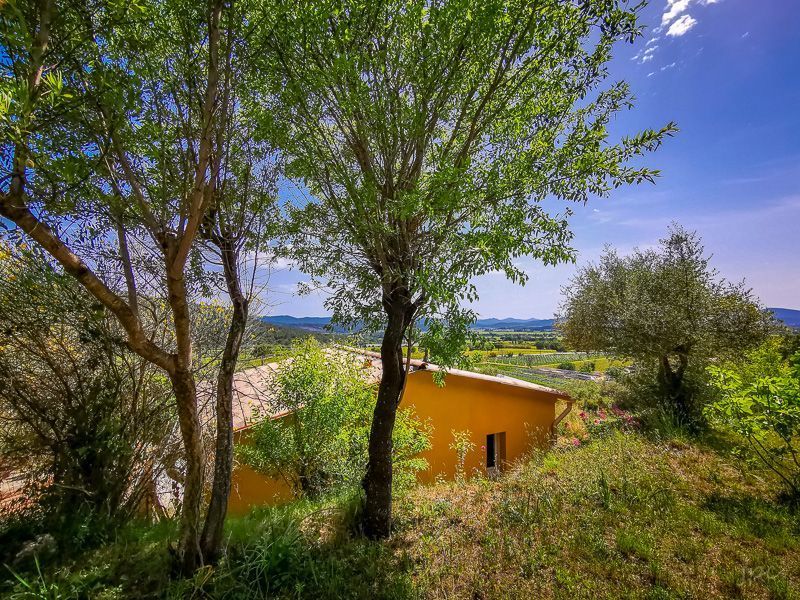 foto 4 Huurhuis van particulieren Cuers studio Provence-Alpes-Cte d'Azur Var Tuin