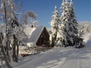 Vakantiewoningen aan de voet van de skipistes: chalet nr. 90038