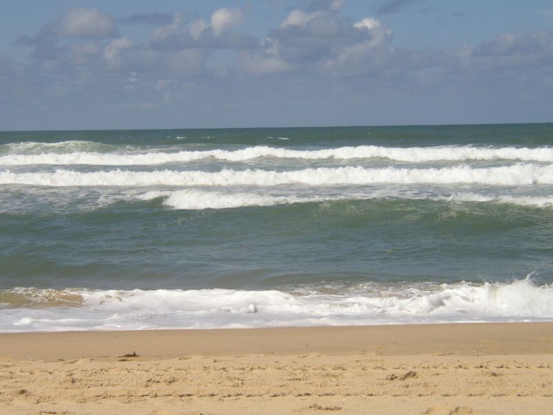 foto 8 Huurhuis van particulieren Cap Ferret villa Aquitaine Gironde Strand