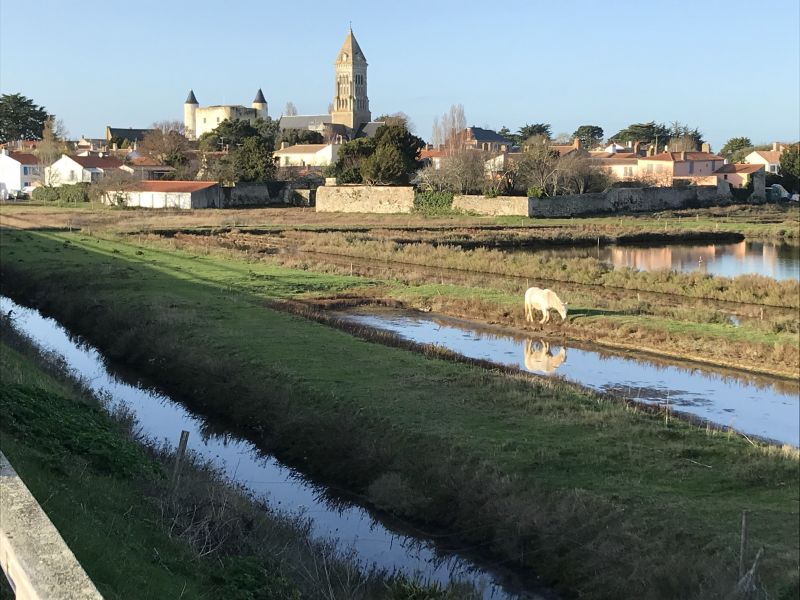 foto 16 Huurhuis van particulieren Noirmoutier en l'le maison Pays de la Loire Vende Overig uitzicht