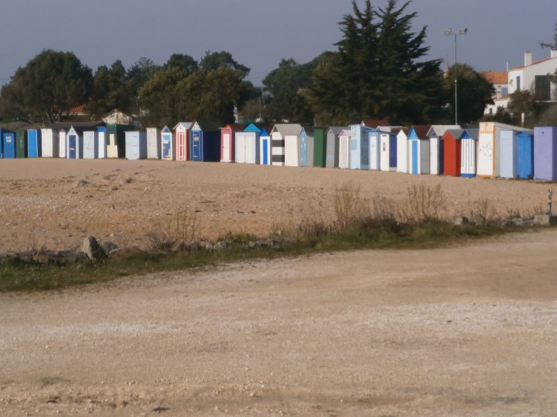 foto 13 Huurhuis van particulieren Saint Georges d'Olron maison Poitou-Charentes Charente-Maritime Strand