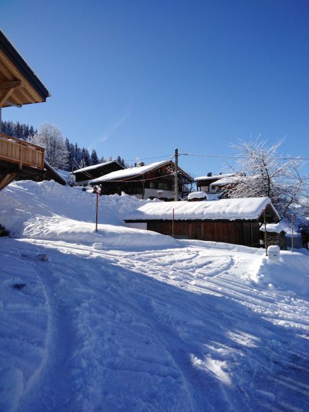 foto 1 Huurhuis van particulieren Praz sur Arly appartement Rhne-Alpes Haute-Savoie Het aanzicht van de woning