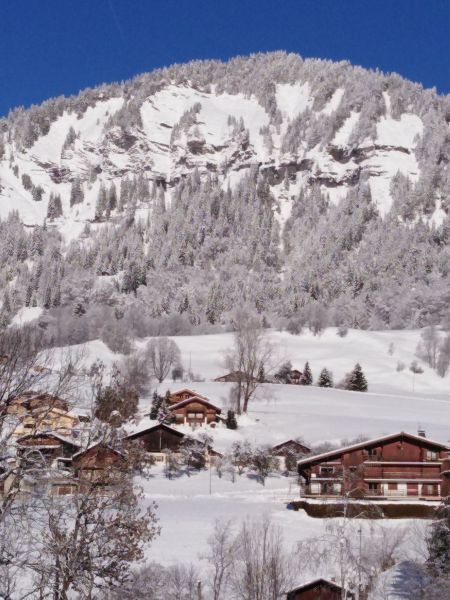 foto 14 Huurhuis van particulieren Praz sur Arly appartement Rhne-Alpes Haute-Savoie