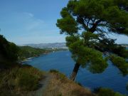 Vakantiewoningen zicht op zee Provence-Alpes-Cte D'Azur: appartement nr. 120896