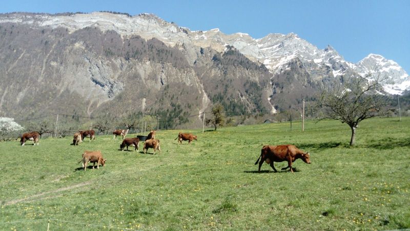 foto 15 Huurhuis van particulieren Albertville gite Rhne-Alpes Savoie Zicht op de omgeving