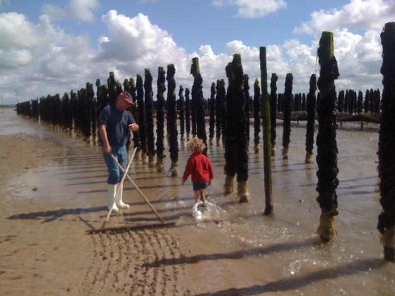 foto 8 Huurhuis van particulieren Granville maison Basse-Normandie Manche Overig uitzicht