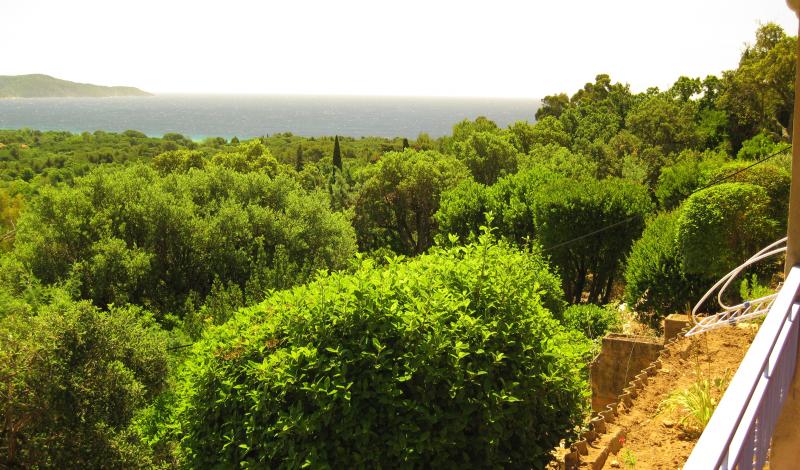 foto 0 Huurhuis van particulieren Cavalaire-sur-Mer appartement Provence-Alpes-Cte d'Azur Var Uitzicht vanaf het terras