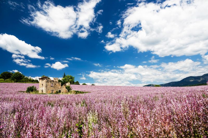foto 21 Huurhuis van particulieren Allemagne en Provence maison Provence-Alpes-Cte d'Azur Alpes de Haute-Provence Zicht op de omgeving